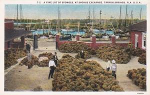 Florida Tarpon Springs A Fine Lot Of Sponges At The Sponge Exchange Curteich