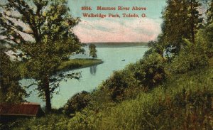 Vintage Postcard Maumee River Above Walbridge Park Toledo Ohio S. H. Knox & Co.