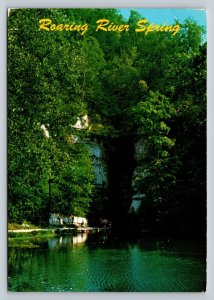 c1981 Roaring River State Park Near Cassville MO 4x6 VINTAGE Postcard 0330