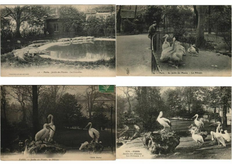 ZOO JARDIN DE PLANTES ANIMAUX 200 CPA pre-1930 (L4066)