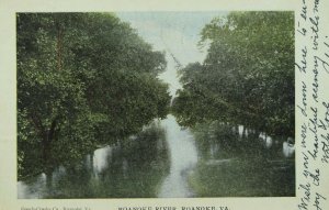 C.1910 Roanoke River, Roanoke, VA. Vintage Postcard P52