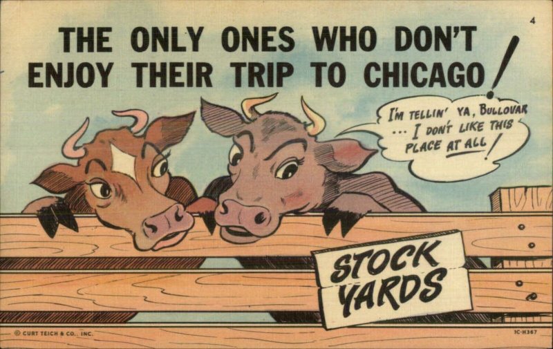 Curt Teich Chicago IL Comic Series Cattle Stock Linen Postcard