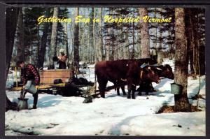 OX Cart,Gathering Sap in Vermont BIN