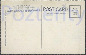 IN THE JUNGLE,PALM CANYON NEAR PALM SPRINGS CALIFORNIA