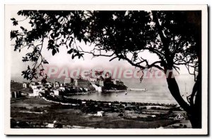 Postcard Old Calvi View A Travers les Pins