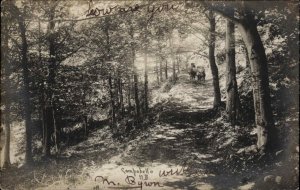 Campobello New Brunswick NB Wooded Road Scene Real Photo Postcard