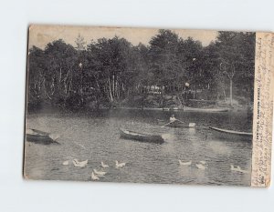 Postcard The Cove, Hampton Ponds, Westfield, Massachusetts