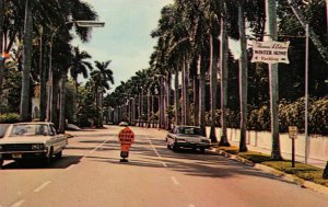 Avenue of Palms FORT MYERS Florida McGregor Blvd Edison Home Vintage Postcard
