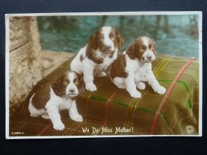 PUPPY DOGGIE Greetings WE DO MISS MOTHER Spaniel Breed c1930s RP Postcard