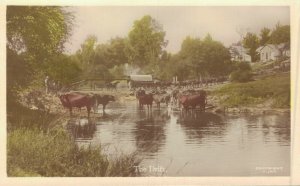 South Africa The Drift RPPC  06.03