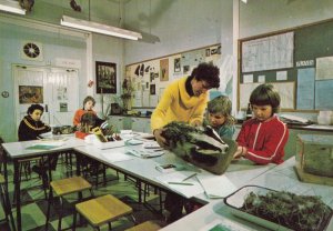 Nature Biology Childrens Study Classroom School Pelham Hertfordshire Postcard