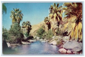 1955 Palm Canyon Near Palm Springs El Centro California CA Vintage Postcard