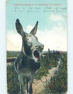 Divided-Back BRAYING DONKEY HM6519