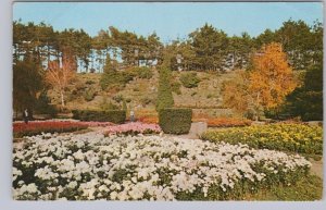 Rock Garden, Hamilton, Ontario, Vintage Chrome Postcard #1