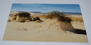 White Sands National Monument New Mexico Postcard C-2051 Mike Roberts