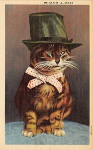 LPS70 Mr. Kaatskill Cat in Top Hat New York Postcard