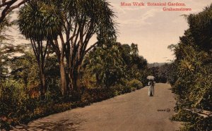 Vintage Postcard Main Walk Botanical Gardens Grahamstown South Africa