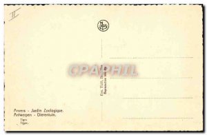 Old Postcard Antwerp Zoo Tiger Jardon