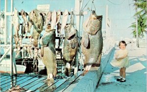 Key West, FL Florida LITTLE GIRL~GIANT JEWFISH CATCH Charter Boat Docks Postcard