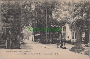 France Postcard - Les Allees, Cambo-les-Bains, Nouvelle-Aquitaine RS30805