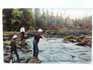 Fishing for Speckled Trout Algonquin National Park Ontario Vtg Postcard c1910