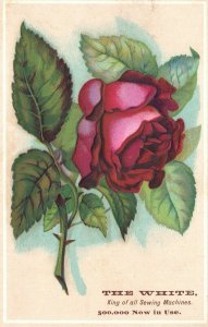 1880s-90s Red Rose Flower The White Sewing Machine Trade Card Embossed