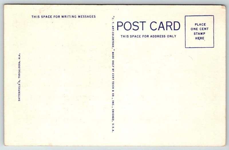 Vintage Alabama Postcard -  University of Alabama  Tuscaloosa