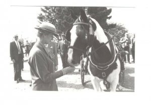 d9595 - Princess Alexandra in Sark in 1990 - Royalty postcard