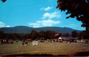 New York Catskill Triple D Cabins