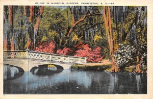 Bridge in Magnolia Gardens Charleston, South Carolina