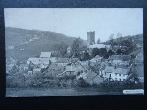 Devon BERRYNARBOR Village - Old Postcard by B.C. Gribble of Combe Martin