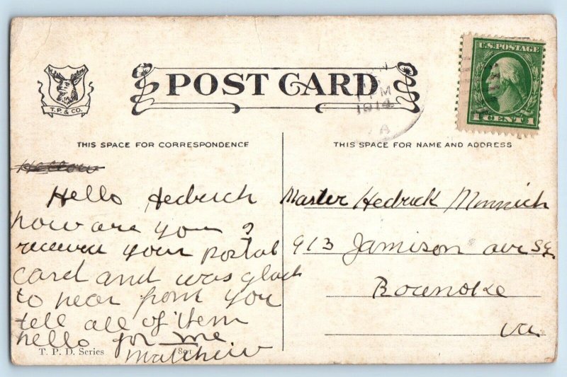 Roanoke Virginia VA Postcard Drunk Man Sleepy Baby Sleep 1914 Posted Antique