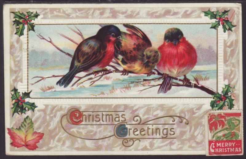 Christmas Greetings,Birds Postcard