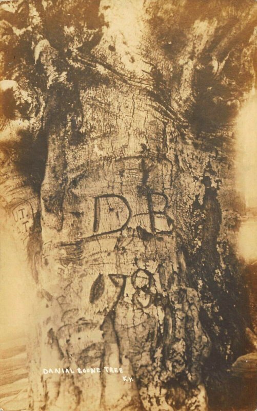 Beech Tree Where Daniel Boone Killed a Bear in Kentucky Real Photo Postcard. 