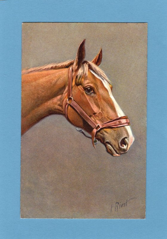 Horse Head Full Color Postcard Portrait Signed By Artist I. Rivst