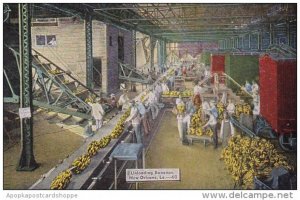 Unloading Bananas New Orleans Louisiana