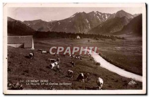 Old Postcard Le Mont Dore Road and La Chaine Du Sancy Cows