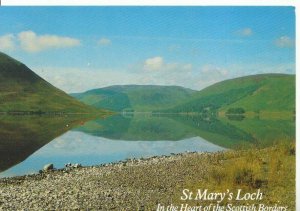 Scotland Postcard - St Mary's Loch - Heart of The Scottish Borders - Ref ZZ5583