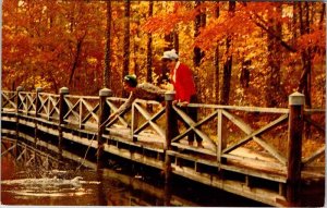 Postcard BRIDGE SCENE Pine Mountain Georgia GA AN8192