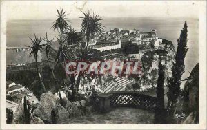 Old Postcard The Rock of Monaco saw exotic gardens Collection of Cote d Azur