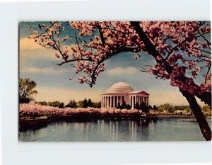 Postcard The Jefferson Memorial Washington District of Columbia USA