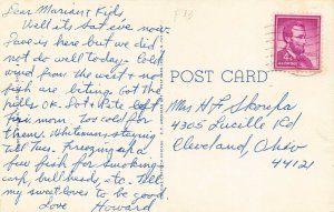 LPS17 PUT-IN-BAY Ohio Harbor Aerial View Postcard