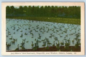 c1951 Windsor Ontario ON Canada Postcard Jack Miners Bird Sanctuary Kingsville