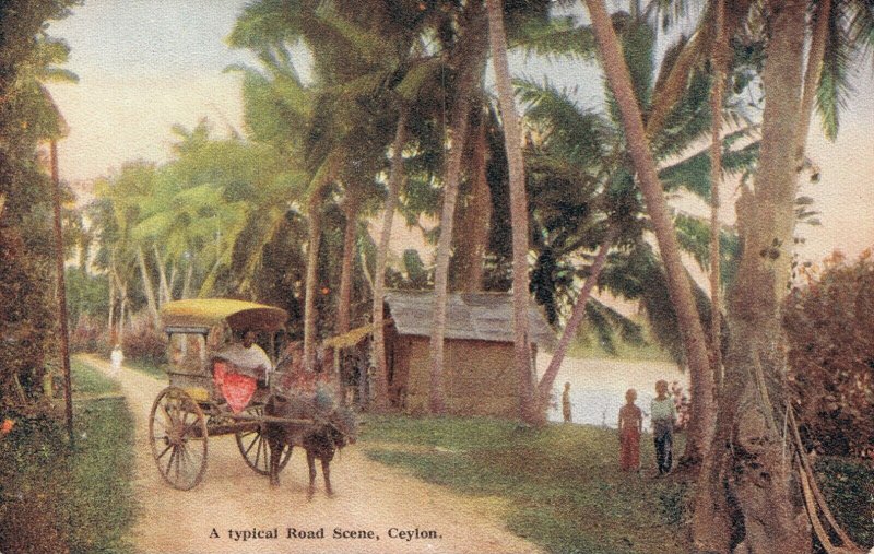 Ceylon A Typical Road Scene Ceylon 04.01