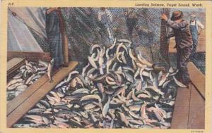 Washington Puget Sound Loading Salmon 1943 Curteich