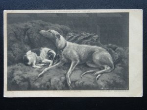 Dogs TWO DOGS ON THE SOFA Home Sweet Home c1902 UB Postcard Artist S. Berkeley