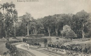 Ceylon Kandy Gardens Sri Lanka Vintage Postcard 07.52