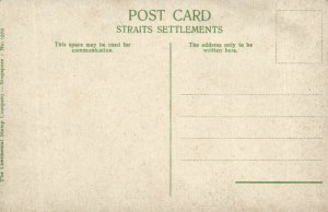 PC CPA SINGAPORE, BULLOCK CARTS UN FULL LOADING, Vintage Postcard (b19674)