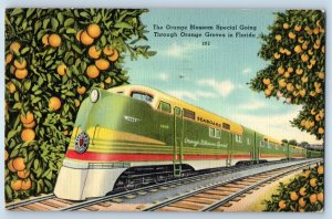 1950 Seaboard The Orange Blossom Special Going Orange Groves In Florida Postcard