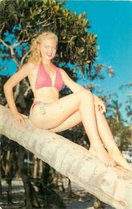 Beautiful Bikini Girl Tree Dexter 1950s Postcard 20-7677